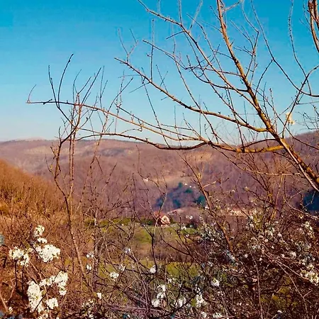 Agriturismo Gli Orti Di Bertin Κάμπινγκ