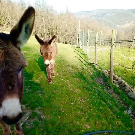 Agriturismo Gli Orti Di Bertin Campingplatz *