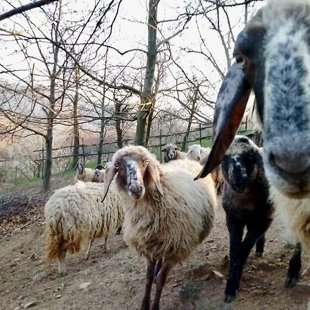 Agriturismo Gli Orti Di Bertin Campingplatz
